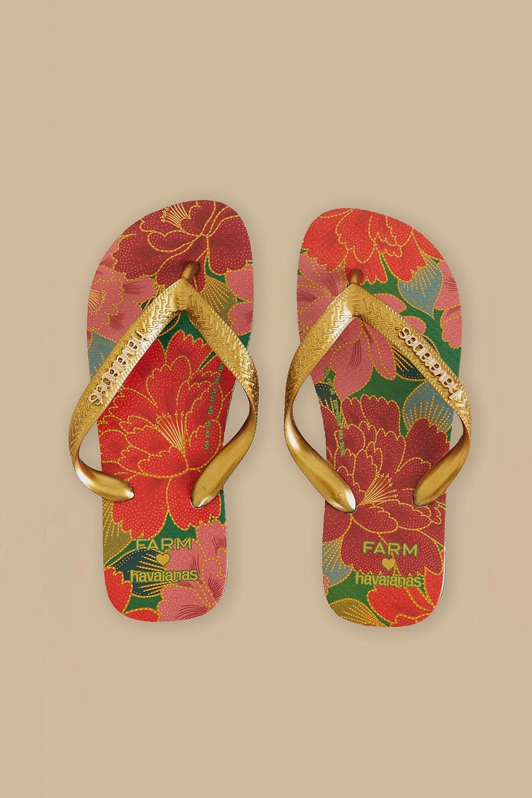 Farm Chita Solar Havaianas Sandals Breathable Sandals