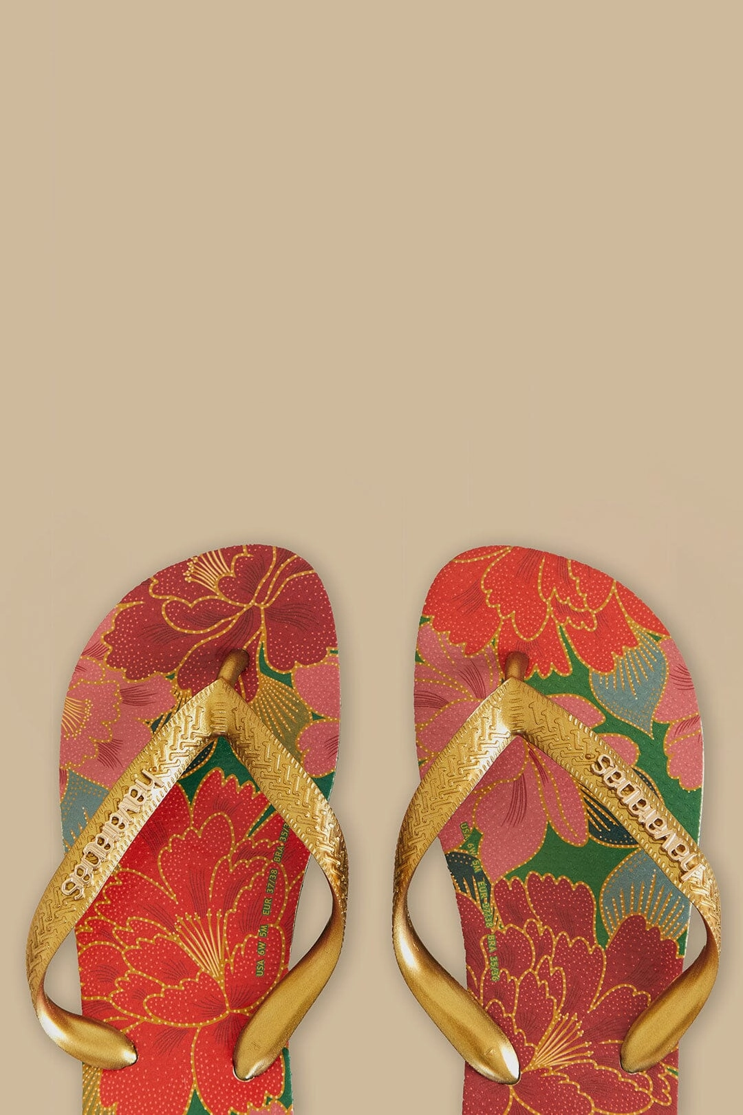 Comfortable walking shoes Farm Chita Solar Havaianas Sandals