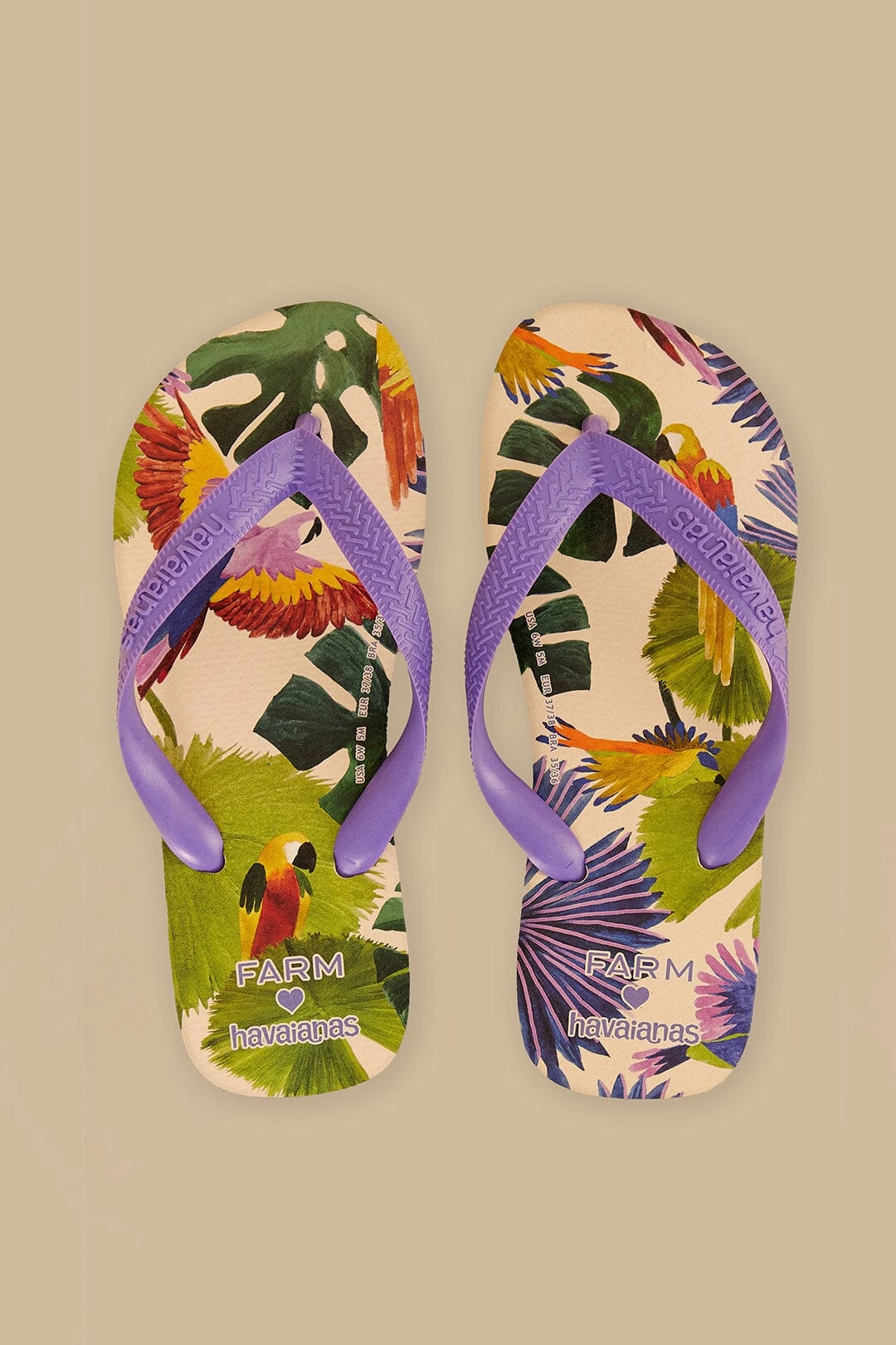 Farm Passaros Pintados Havaianas Sandals Toe Space Torsional Stability