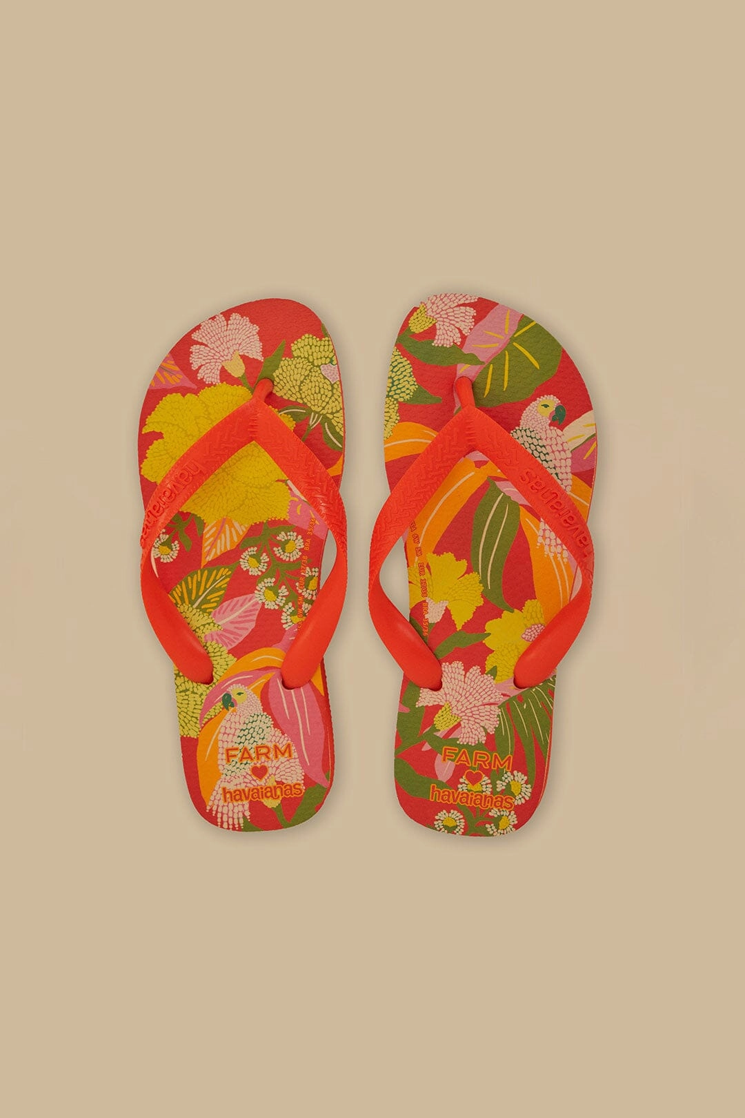 Farm Neon Flor Havaianas Sandals Daily Wear Fashionable And Functional