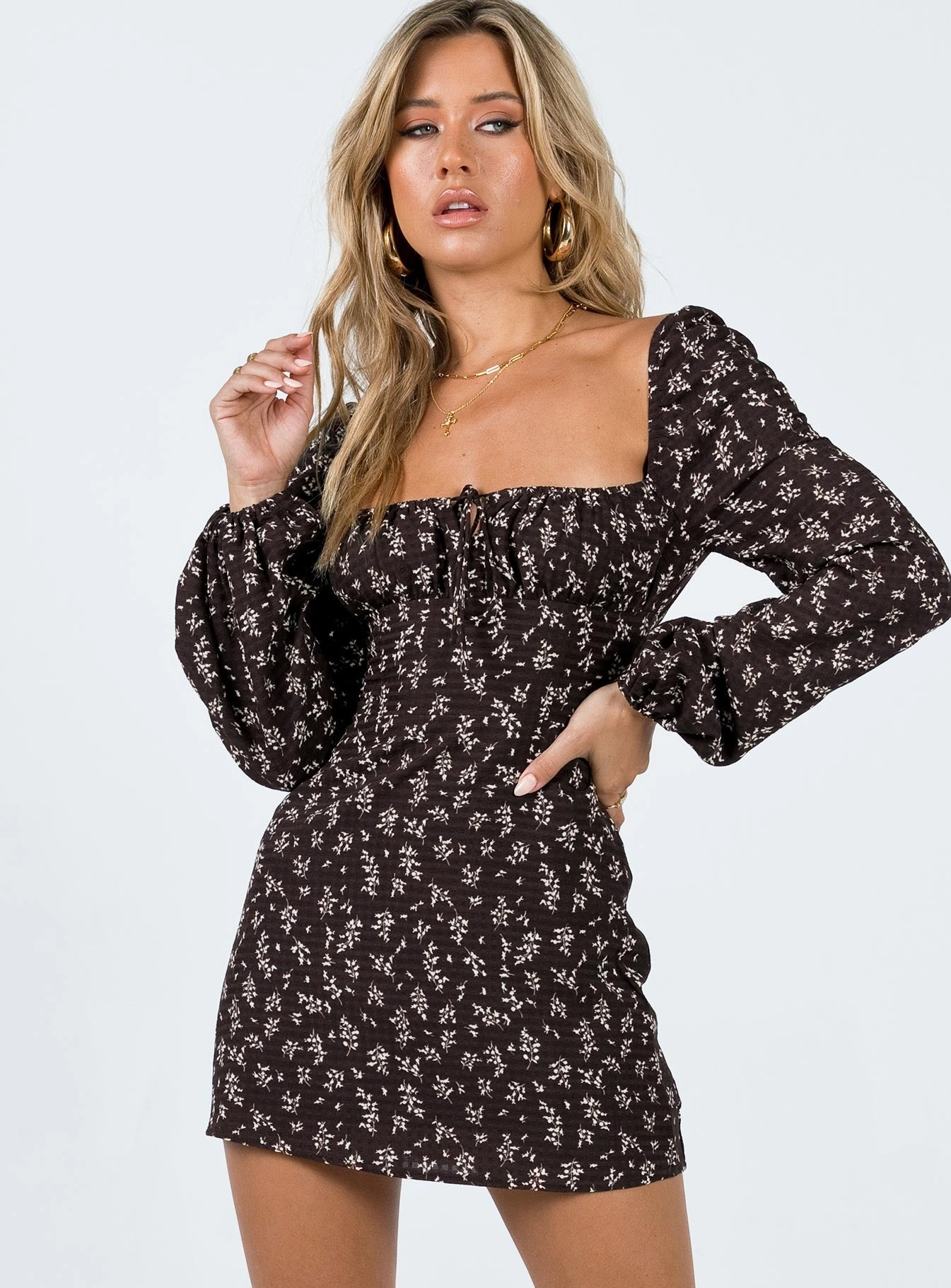 Anti-Static-Finish Lyndon Long Sleeve Mini Dress Brown