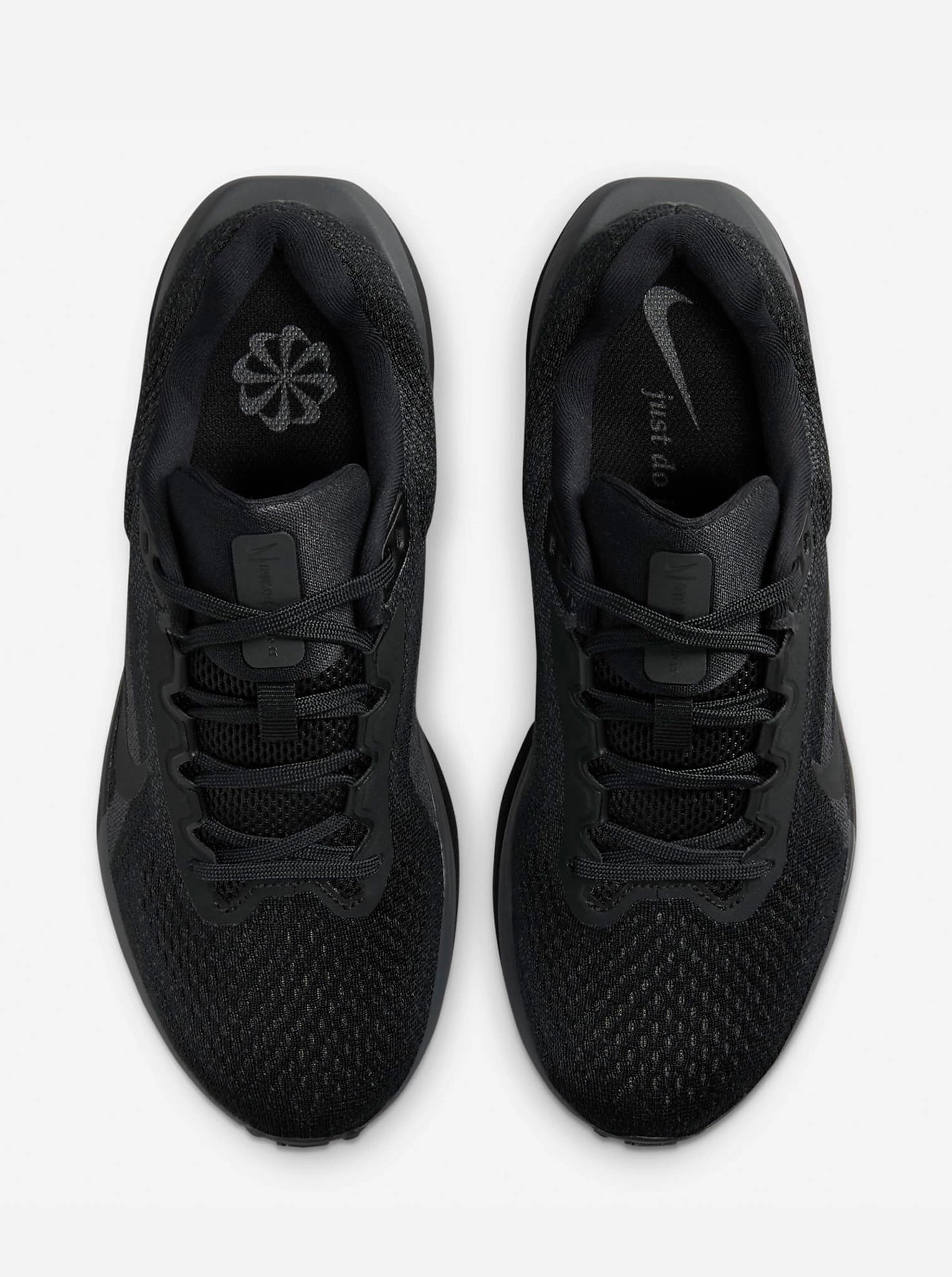 Park running need Winflo 11 Womens